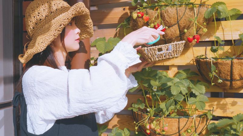 học cách sống và suy nghĩ đơn giản sau nhiều lần miệt mài cải tạo nhà học cách sống và suy nghĩ đơn giản sau nhiều lần miệt mài cải tạo nhà